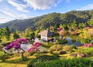 Phát hiện khu vườn mùa hè xanh ngát ngay tại Đà Lạt