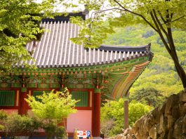Top những cảnh đẹp ấn tượng khiến khách du lịch Hàn Quốc say mê