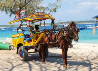 Khám phá vẻ đẹp mê mẩn của quần đảo Gili khi du lịch Indonesia Khám phá vẻ đẹp mê mẩn của quần đảo Gili khi du lịch Indonesia